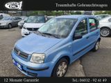Fiat Panda Diesel 1.3 Multijet DPF - Fiat Panda mit Diesel-Antrieb