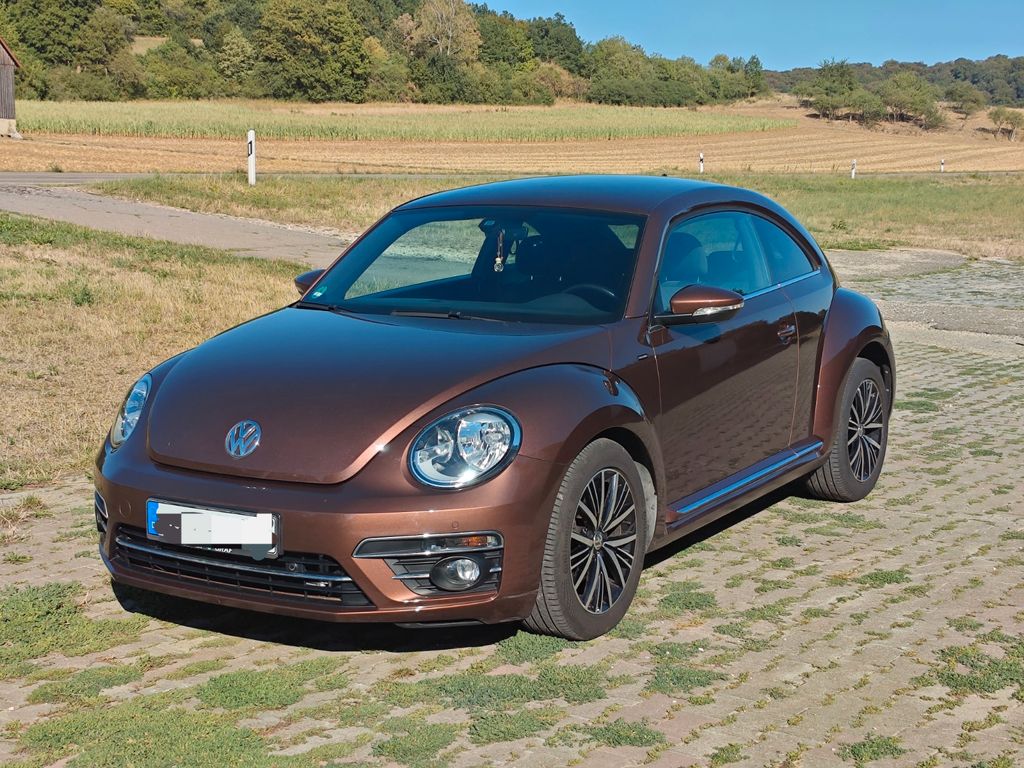 Image of Volkswagen Beetle