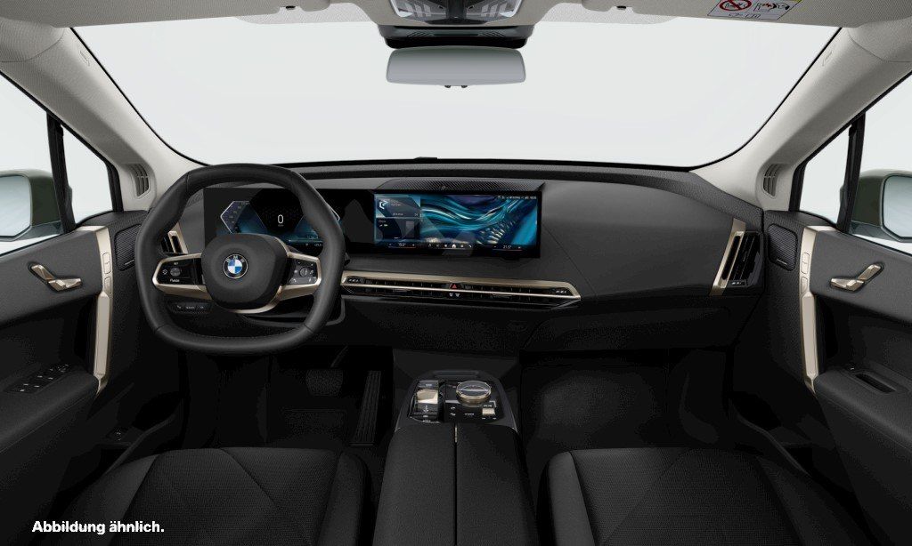 BMW iX xDrive45 Driv.Assist+ Harman/K Kamera LED foto 4