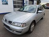 Nissan Primera - silberne Nissan Primera