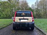 Fiat Panda - Fiat Panda Gebrauchtwagen in Kassel