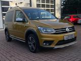 Volkswagen Caddy Alltrack Navi Xenon ACC  HU/Service neu - Volkswagen Caddy Alltrack mit Benzin-Antrieb