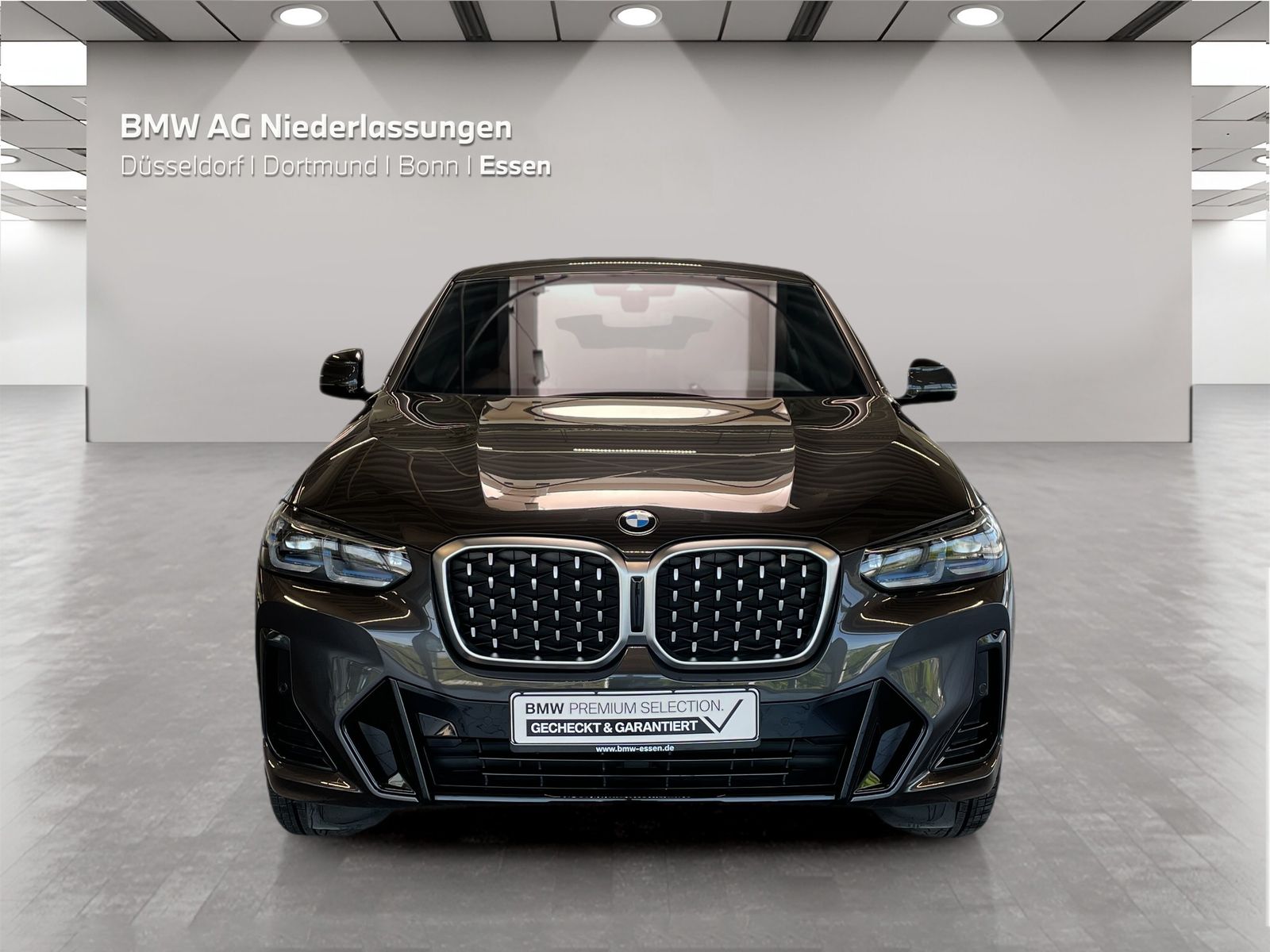 BMW X4 - Bild 8