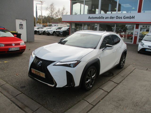 Lexus UX250h E-Four F-SPORT, Navi, 360°, HUD, TWW