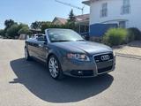 Audi A4 Cabriolet 3.0 TDI quattro - Audi A4 aus 2006: Cabrio