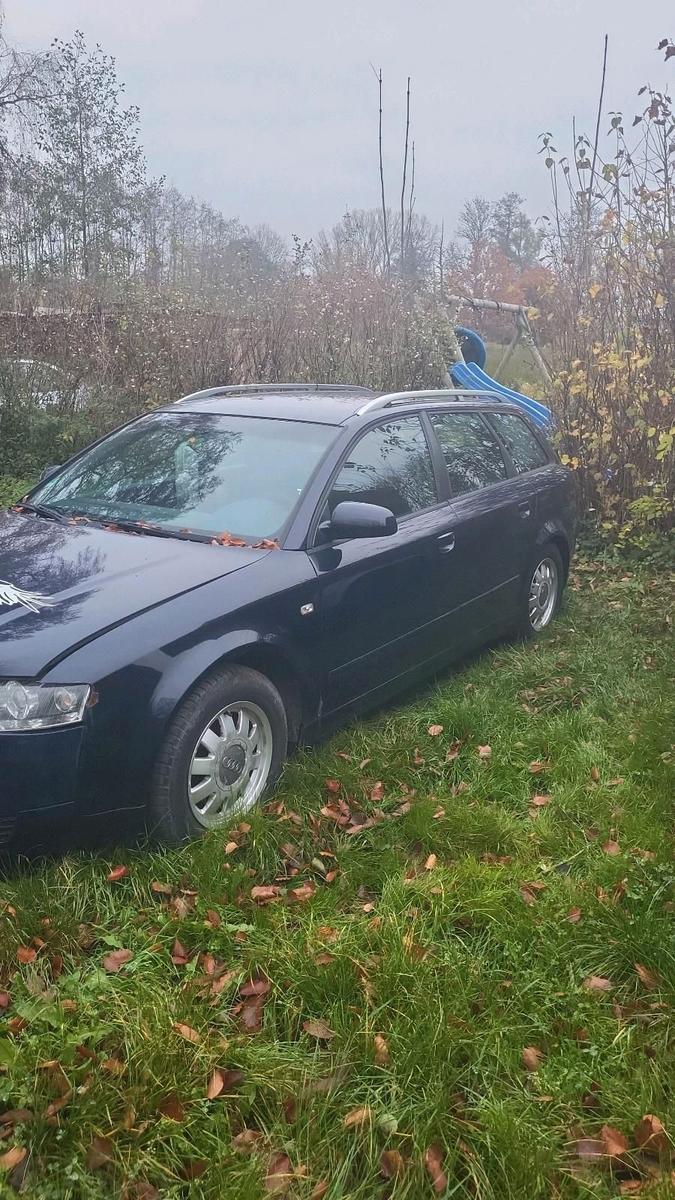 Audi A4 2004 — вигляд ззаду