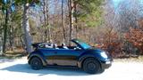 Volkswagen Beetle Cabrio zu verkaufen - Volkswagen Beetle aus 2003: Cabrio