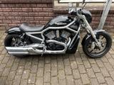 Harley-Davidson VRSCR Street Rod Umbau - HARLEY-DAVIDSON STREET ROD
