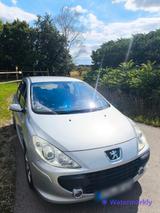 Peugeot Grand Filou 1.6 110 PS - Ohne TÜV - VB - Peugeot 307 Gebrauchtwagen in München