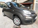 Fiat PANDA 1200 4Cilindri FIRE 5posti LOUNGE 2021 - Fiat Panda: Fire