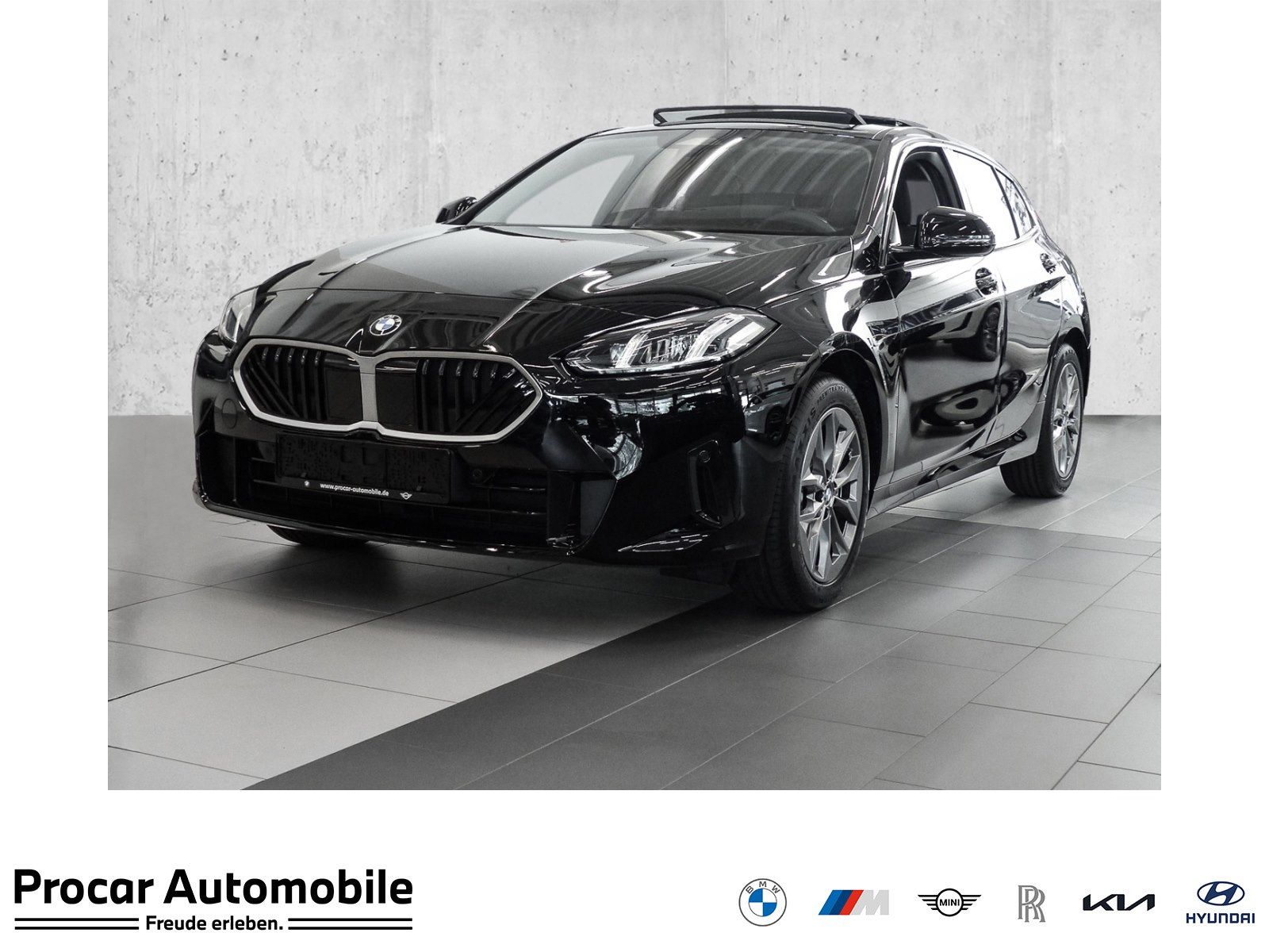 BMW 116 PANO RFK NAVI LED PDC V+H DAB Parkass. LM