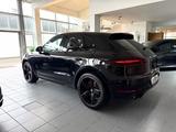 Porsche Macan 3.0 GTS/Approved-Garantie/LED/Kamera - Porsche: Approved