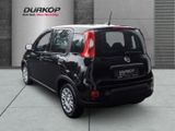 Fiat Panda 1.0 PDC Klimaanlage el. Fenster el. Spiege - Fiat Panda Tageszulassungen mit Benzin-Antrieb