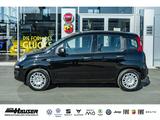 Fiat Pandina ICON Hybrid 1.0 GSE TEMPOMAT PDC LANE KL - Fiat New Panda Benziner Gebrauchtwagen