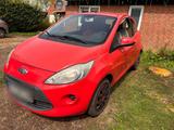 Ford Ka 1.2, 69 PS, EZ 02/2009, rot  gepf... - Ford Ka/Ka+ in Kiel