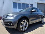 Audi Q5 3.0 TDI 180kW 245PS quattro/PANO/AHK/LED/B&O - Audi Q5: 3.0