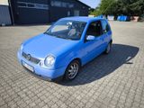 Volkswagen Lupo 1.0 Oxford Oxford AHK