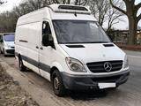 Mercedes-Benz Mercedes Sprinter 313 CDI Kühlkoffer Maxi ... - Mercedes-Benz Sprinter: 313 Cdi Maxi