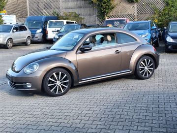 Volkswagen Beetle - 3