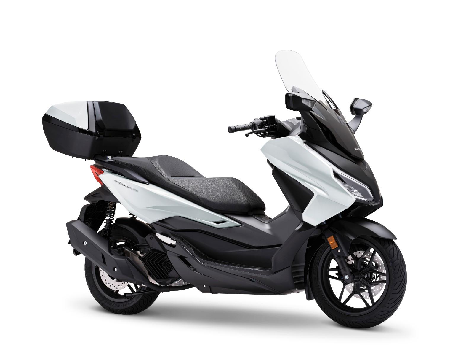 Honda NSS Forza 125 Standart und S-Edition *TZ*