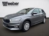 Skoda FABIA 1.0 TSI Selection AHK LED PDC Tempo - Skoda Neuwagen
