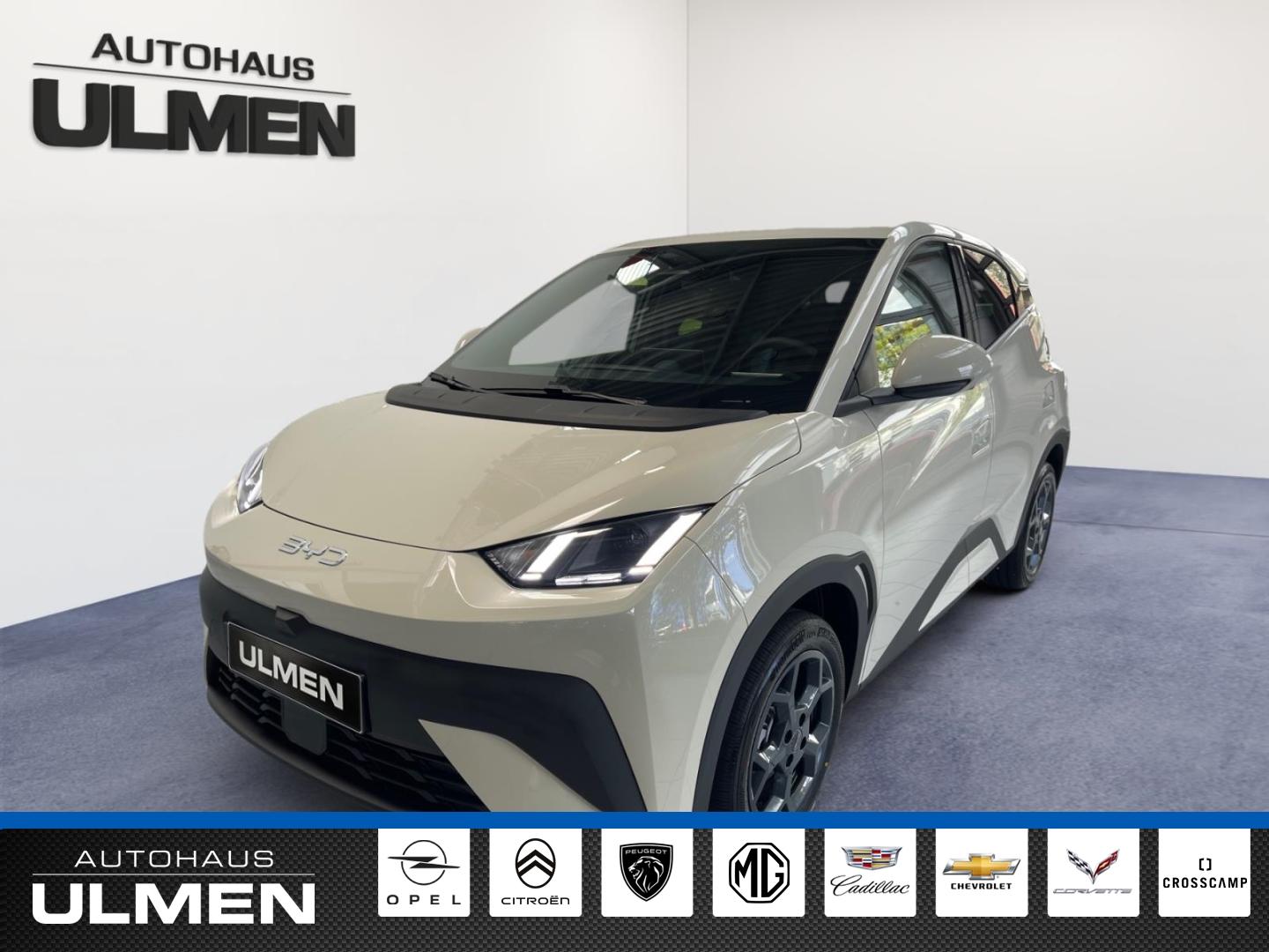 BYD Dolphin Surf 115KW Comfort Leder Navi Sitzheizun