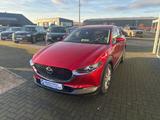 Mazda CX-30 SKYACTIV-G 2.0 Selection Design+ Premium P - Mazda CX-30 in Dortmund