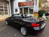 BMW 220i Cabrio Advantage Leder Navi Bi Xenon PDC SH - BMW 2er Reihe: Cabrio