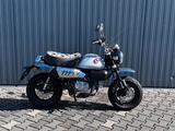 Honda Monkey 125 - HONDA MONKEY