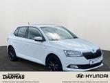 Skoda Fabia Clever Sitzheizung Allwetterreifen *Top* - Skoda Fabia in Herne