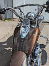 Harley-Davidson Heritage Classic  103 ANV (FLSTC103ANV) - Harley-Davidson Motorräder in Essen