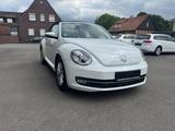 Volkswagen Beetle 1.2 TSI DSG  Cabriolet - - Volkswagen Gebrauchtwagen in Rheine