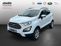 Ford EcoSport Cool & Connect PDC, Winter-Paket, NAVI