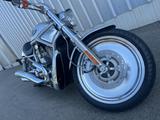Harley-Davidson V-Rod VRSCB two-tone (silber/schwarz) - 2004 V ROD