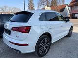 Audi Q5 2.0 TDI quattro S Line LED 20zoll Kamera - Audi Q5: Weiß