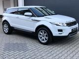Land Rover Evoque Pure Bi-Xenon Kamera Navi Leder - Land Rover: Weiß