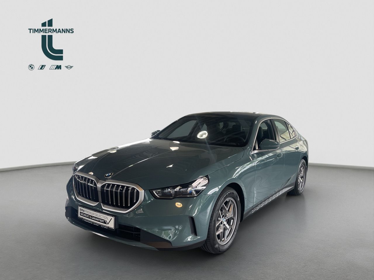 BMW 520i Autobahnassistent Pano foto 1