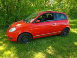 Lancia Ypsilon 1.4 8v Oro Oro