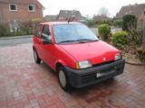 Fiat Cinquecento - Fiat Cinquecento von privat