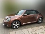 Volkswagen VW Beetle Cabriolet Allstar; Farbe Dark Br... - Volkswagen Beetle in Bonn