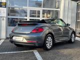 Volkswagen Beetle Cabriolet 1.2 TSI KLIMA/SHZ/PDC - Volkswagen mit Benzin-Antrieb