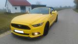 Ford Mustang 5.0 Ti-VCT V8 GT GT - Ford Gebrauchtwagen in Ingolstadt