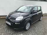 Fiat Panda MY24 1.0 GSE Hybrid Klimaanlage - Fiat Panda Gebrauchtwagen in Aachen