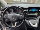 Mercedes-Benz V 250 d Aut. EDITION lang / 8-Fach bereift - Mercedes-Benz V 250 in Magdeburg