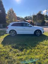 Audi SQ5 3.0 TDI competition 326 PS PANO/B&O/ - weiße Audi SQ5