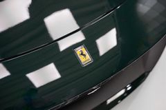 Roma Spider 2025 GREEN/BEIGE SPECIAL
