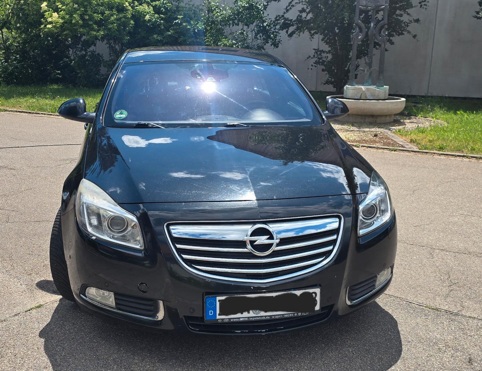 Opel Insignia 2.0 CDTI 8 fach bereift