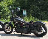 Harley-Davidson FXDB - Streetbob - Customized - HARLEY-DAVIDSON FXD