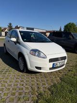 Fiat Punto 1.2 8V Active Active - Fiat Punto Gebrauchtwagen in Stuttgart