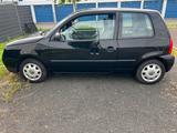 Volkswagen Lupo 1.4 44kW Basis - Volkswagen Lupo: 1.4
